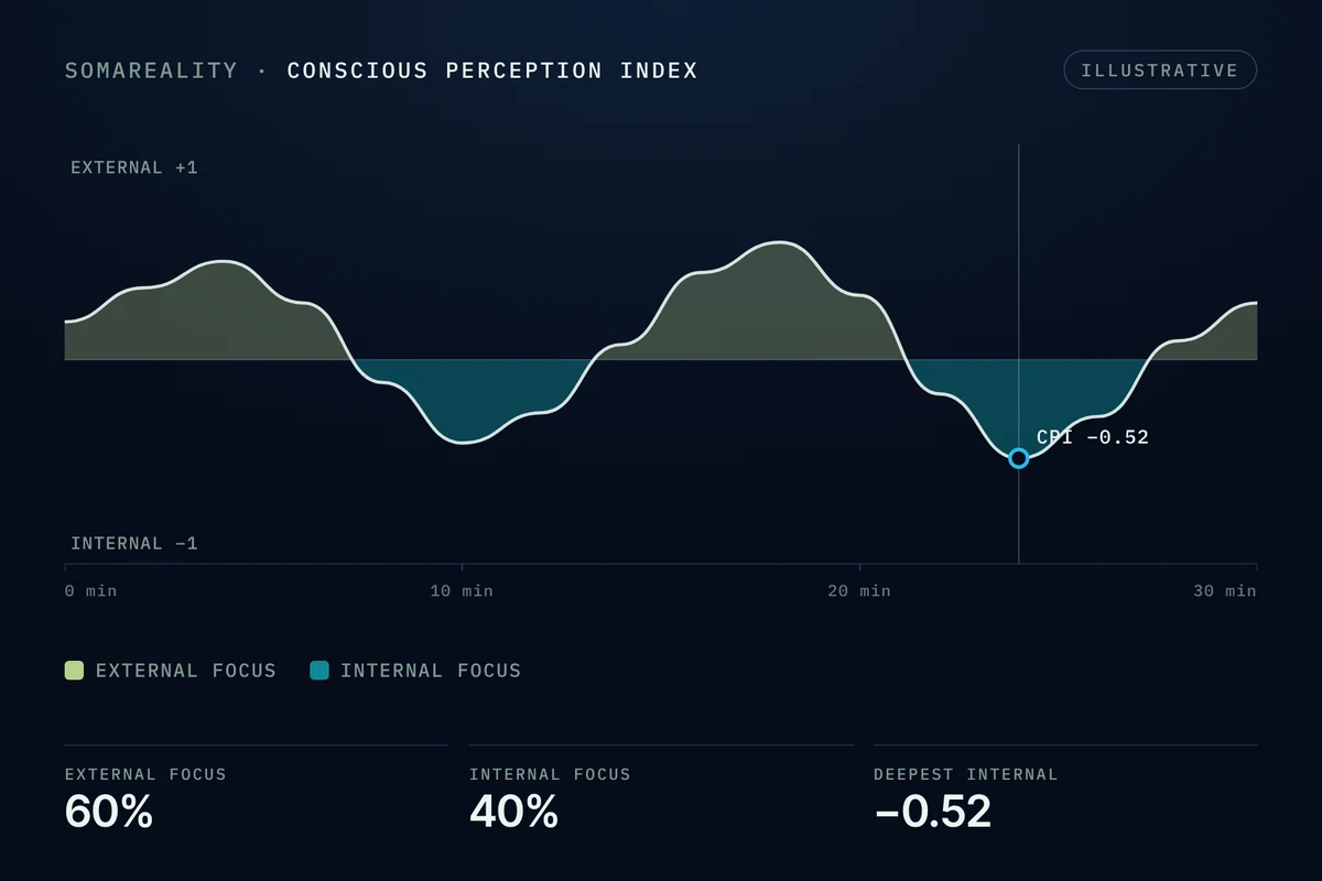 Illustrative SOMAREALITY Conscious Perception Index output, external versus internal focus